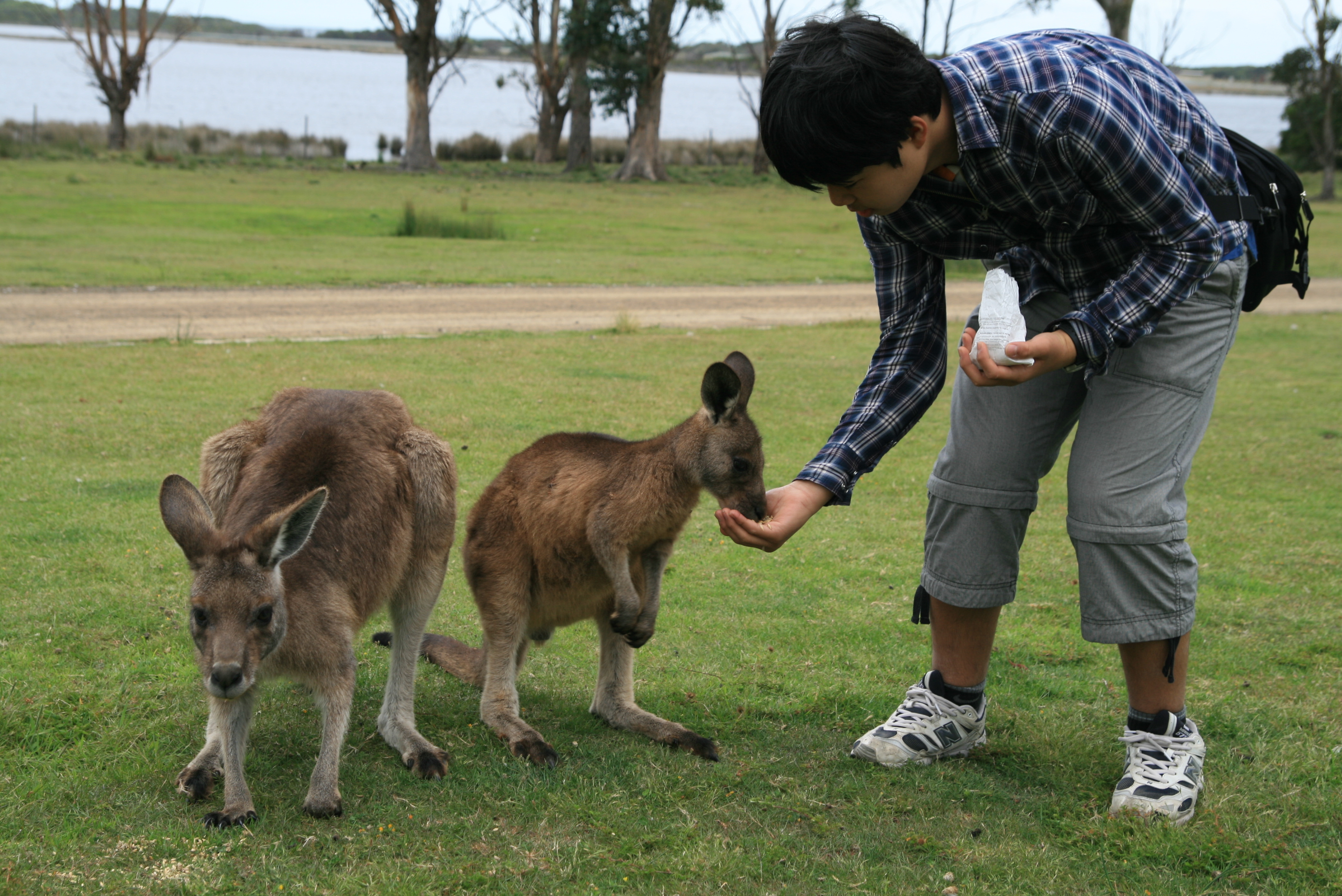 写真